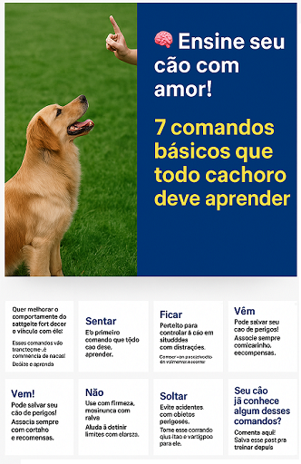 Como Ensinar Seu cachorro